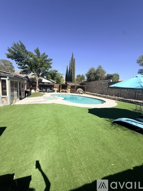 A backyard with a pool and a tree.