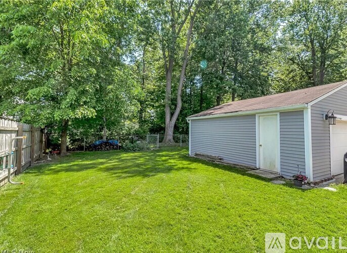 A backyard with a shed and a fence.