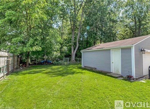 A backyard with a shed and a fence.