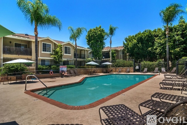 A pool surrounded by chairs and trees with apartment buildings in the background.
