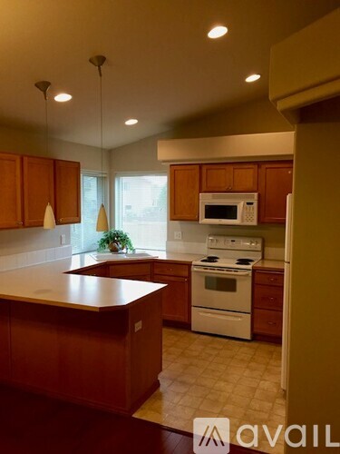 1503 Vanetta Lane 3 Beds Single Family Home for Rent - Photo gallery 4