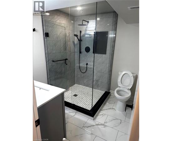 A bathroom with a walk-in shower and a toilet.