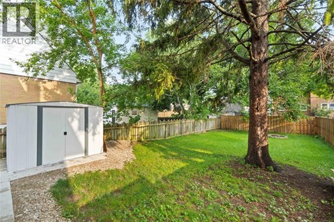 A tree in a yard with a shed in the background.