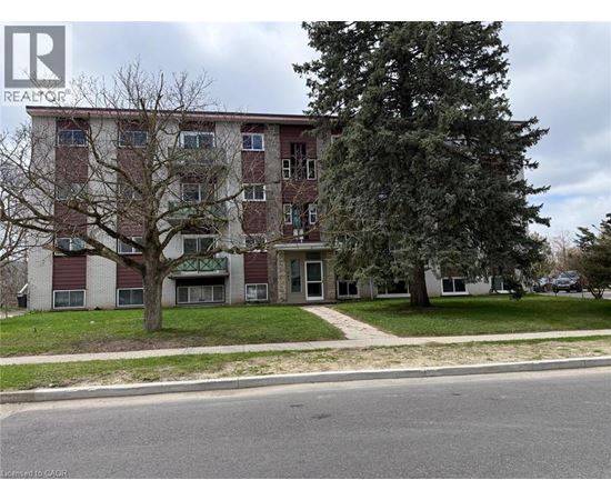 A tall apartment building with a tree in front of it.