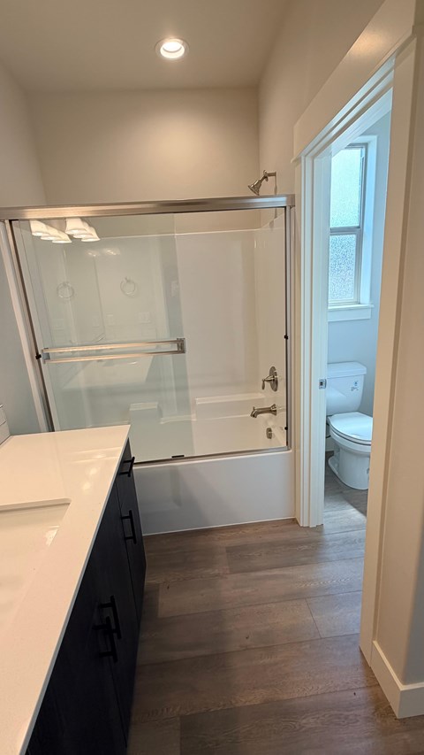 A bathroom with a walk-in shower and a toilet.