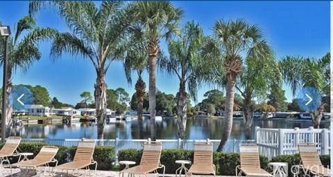A row of palm trees are in front of a body of water.