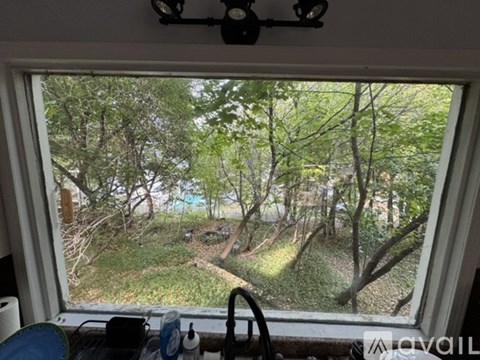 A view from inside a room looking out onto a yard with trees and a path.