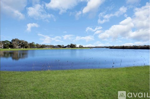 A large body of water surrounded by grass and trees under a blue sky with clouds.