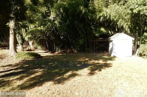 A shed is in the middle of a grassy area with trees surrounding it.