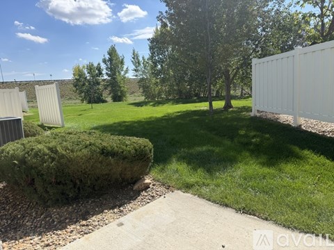 A backyard with a hedge, a sidewalk, and a white fence.