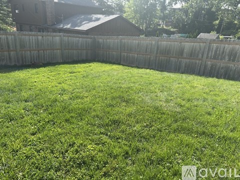 A backyard with a wooden fence and green grass.