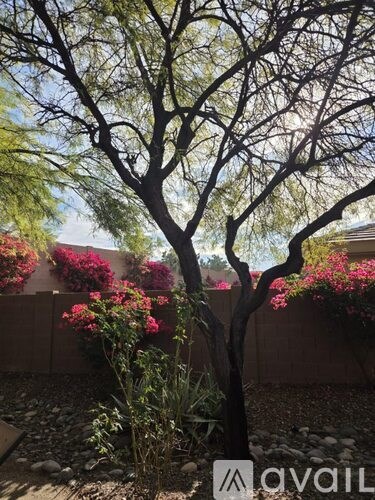 41419 North Fairgreen Way 2 Beds Apartment for Rent