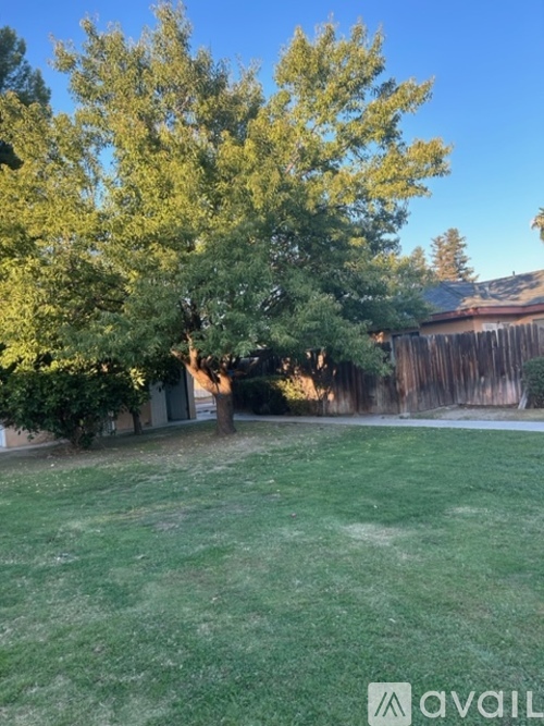 A backyard with a tree and a fence.