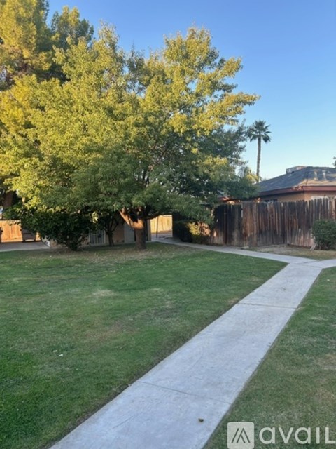 A backyard with a tree and a fence.