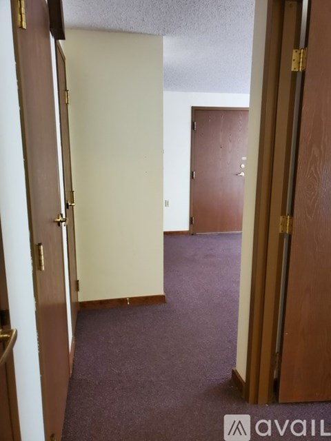 A hallway with a carpeted floor and two doors.
