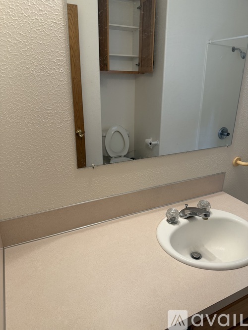 A bathroom with a sink and mirror.