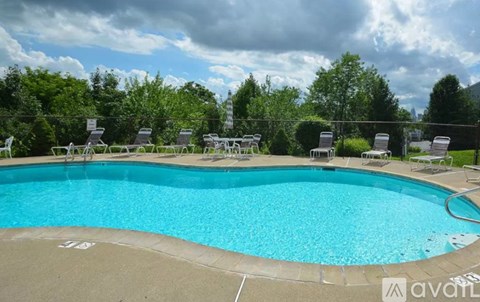 A large outdoor swimming pool surrounded by trees and lounge chairs.