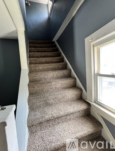A staircase with a carpeted runner and white handrails.