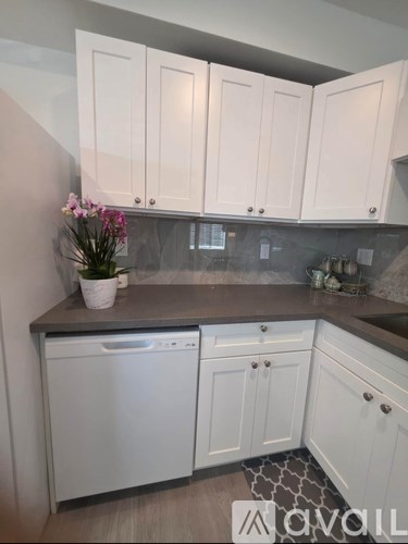 A kitchen with white cabinets and a countertop with a plant on it.