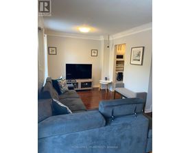 A living room with a grey couch and a television.