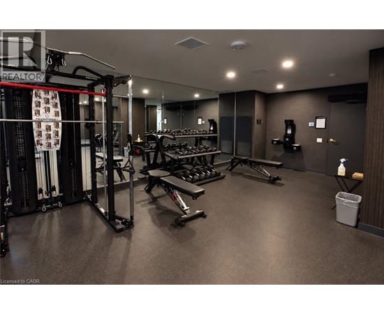 A gym with a variety of equipment including a squat rack, bench press, and dumbbells.