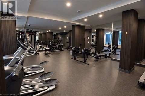 A gym with treadmills, weights, and exercise equipment.