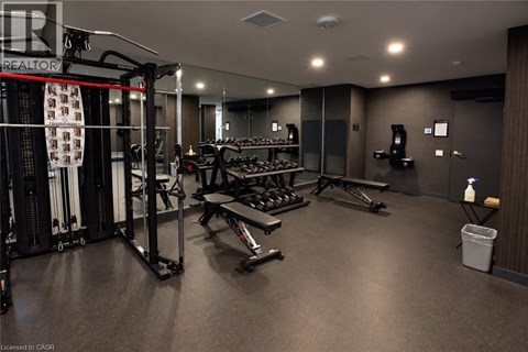 A gym with a variety of equipment including a squat rack, bench press, and dumbbells.
