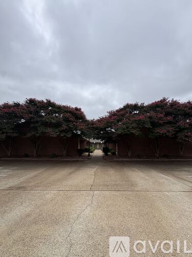 A road with trees on both sides and a cloudy sky above.