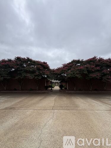 A road with trees on both sides and a cloudy sky above.