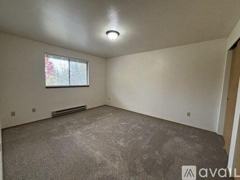 A room with a carpeted floor and a window with a view of trees.