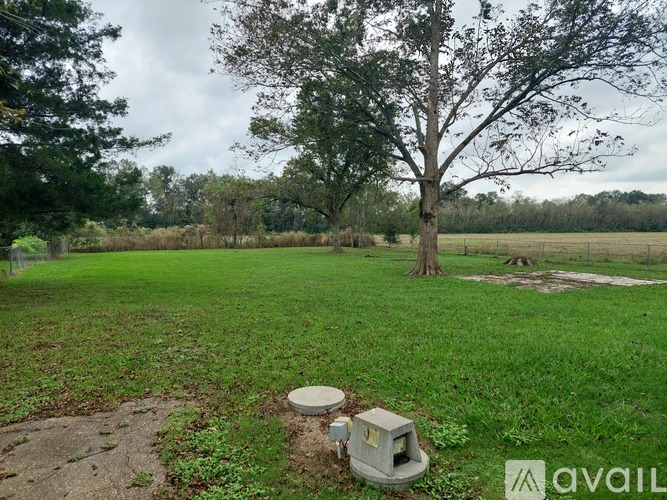 A grassy field with a tree and a stone structure in the foreground.