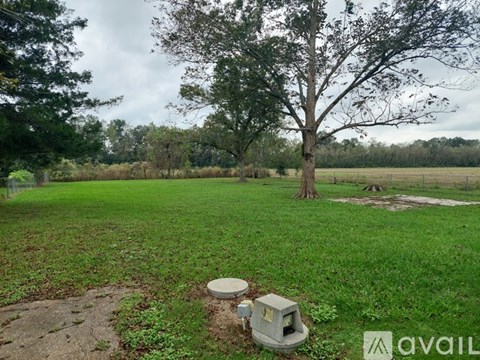 A grassy field with a tree and a stone structure in the foreground.