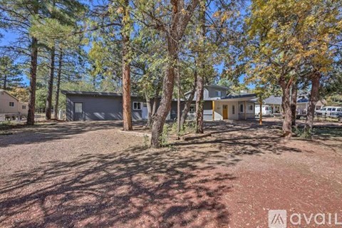 A house surrounded by trees with a gravel driveway in front.