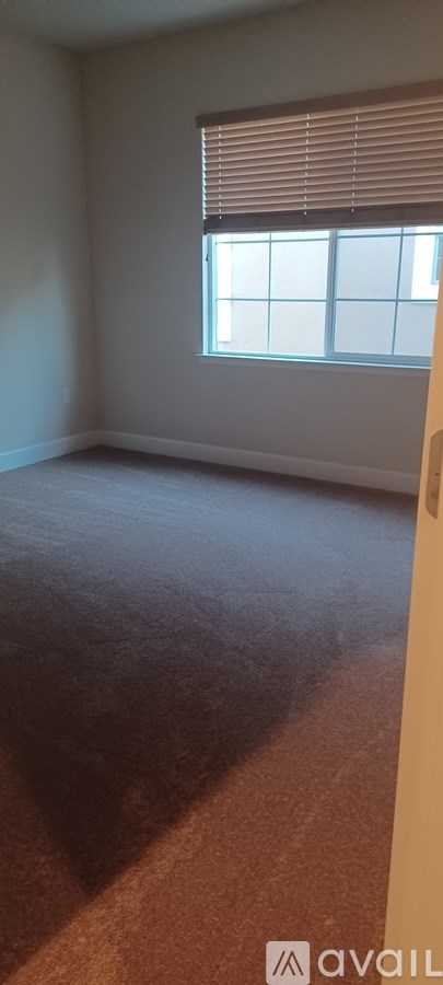 A room with a window and a carpet.