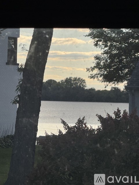 A tree is in the foreground with a body of water and trees in the background.