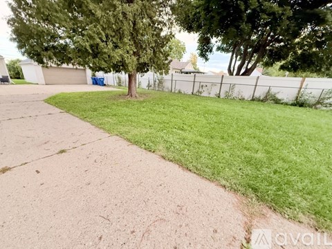 A tree stands in a grassy area next to a sidewalk.
