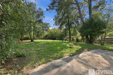 A pathway in a green, leafy area with trees on either side.