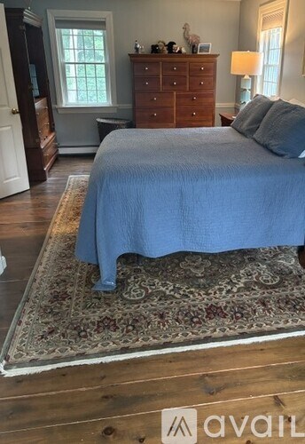 A bedroom with a bed, dresser, and rug.