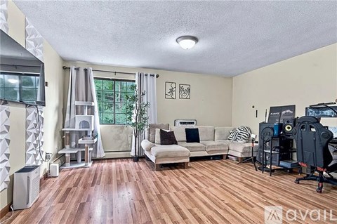 A living room with a couch, a chair, a desk with a computer, and a plant.