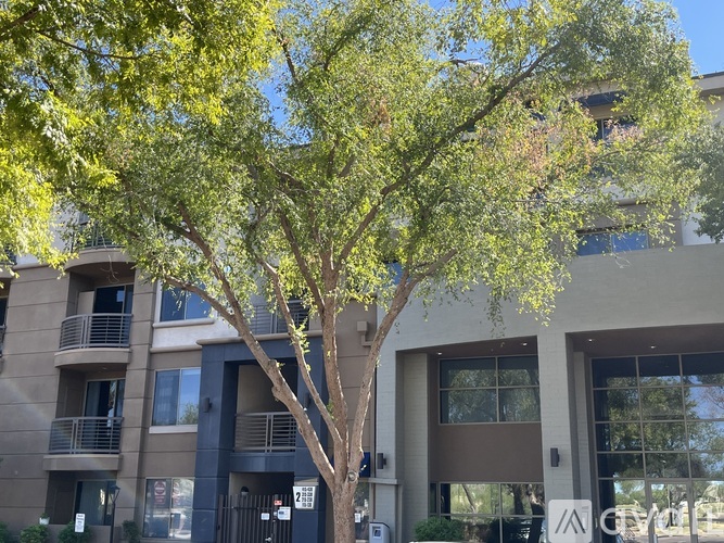 1701 East Colter Street 2 Beds Condo for Rent - Photo gallery 4