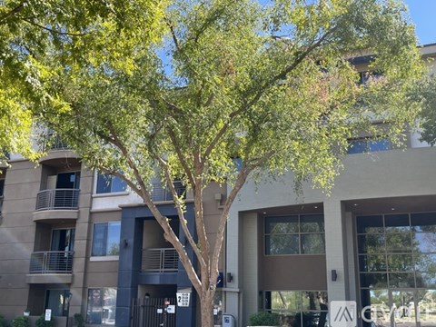 1701 East Colter Street 2 Beds Apartment for Rent