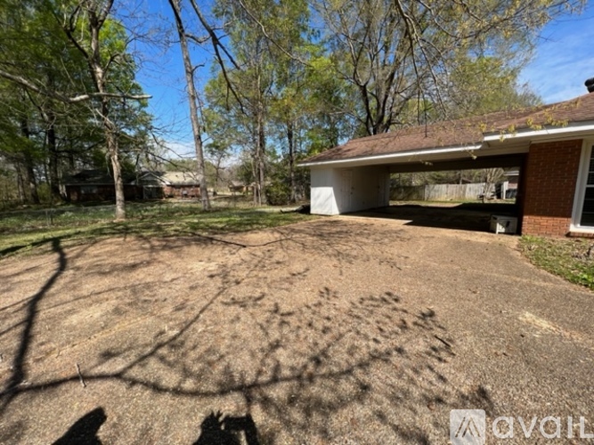 A backyard with a house and trees.