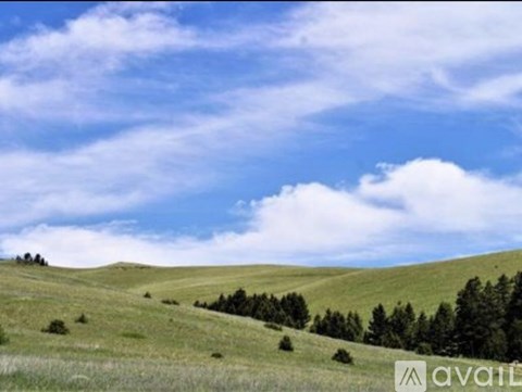 A grassy field with trees and clouds in the sky.