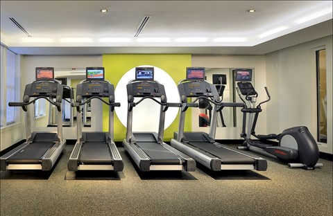 A row of treadmills are lined up in a gym.