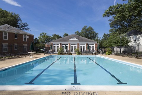 A pool with the words "No Diving" written on the water.
