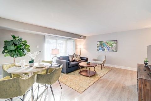 A living room with a grey couch, a white table and a green plant.