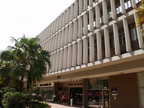 A building with a palm tree in front of it.