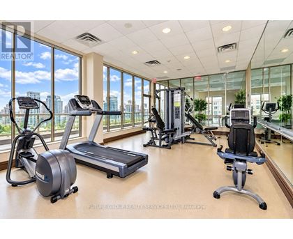 A gym with treadmills, elliptical machines, and a stationary bike.