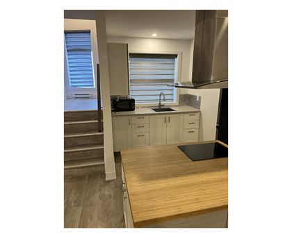 7 Rue Mutchmore, #1A Studio Apartment, Home for Rent - Photo gallery 3