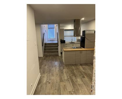7 Rue Mutchmore, #1A Studio Apartment, Home for Rent - Photo gallery 4